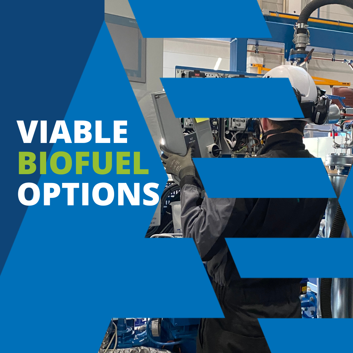 12001200 Biofuel (4)