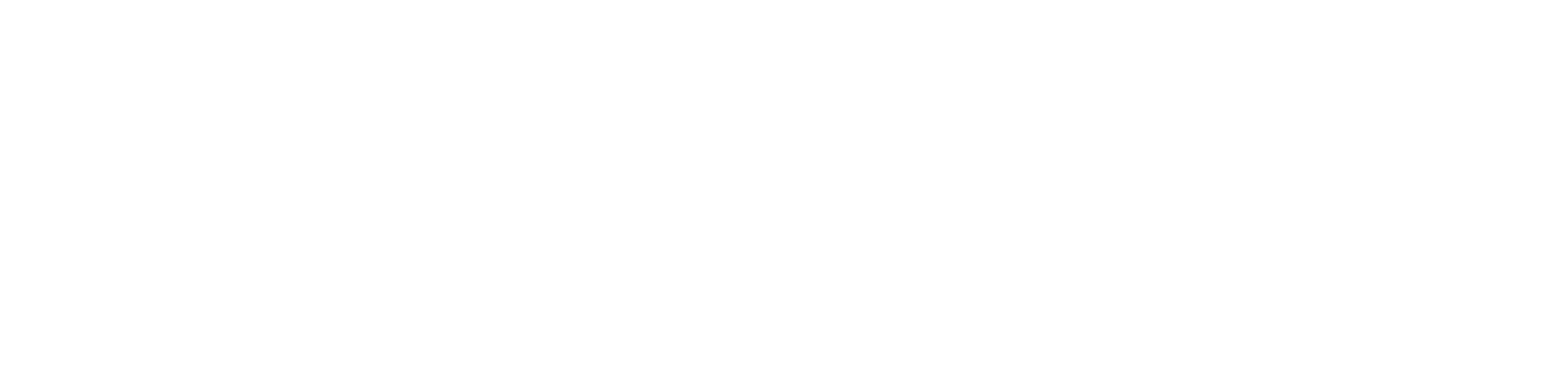 auramarine_logo_RGB_valkoinen